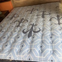 Stern and Foster Mattress Estate Collction