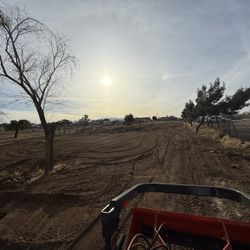 Weed Abatement 