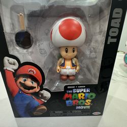 The súper Mario Bros toad