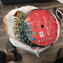 Christmas Lights.! Still Working. ! Need GONE.!