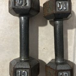  Dumbbells Set (10 Lbs)