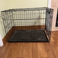 Foldable Dog Crate 
