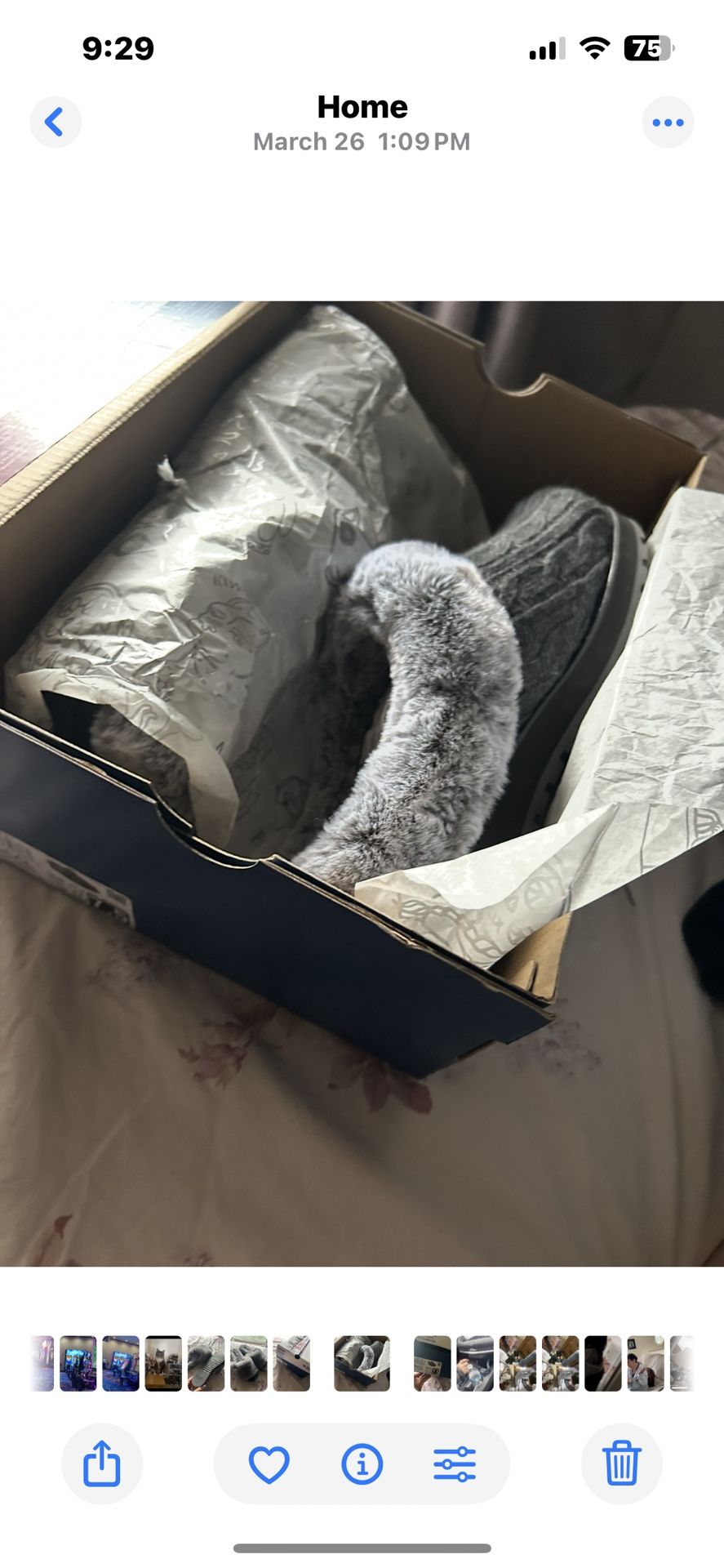 Bobs Sketchers Grey Slip Ons