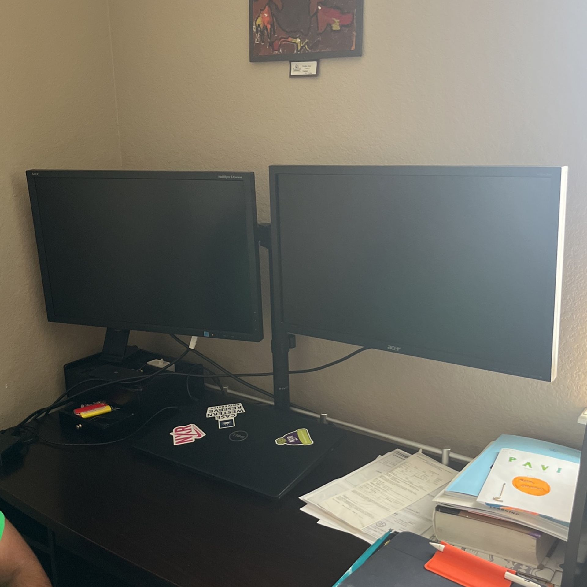 Dual monitor setup