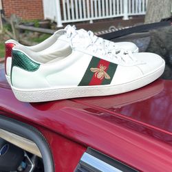 Gucci Low Tops 