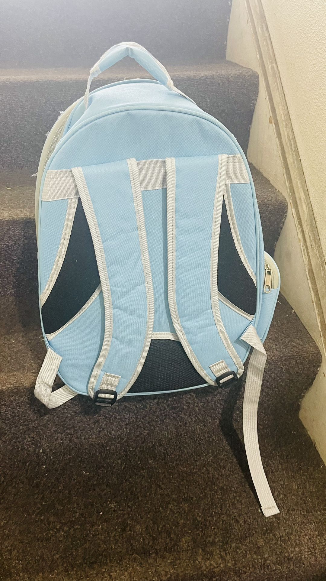Backpack For Cat