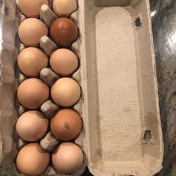 Organic Chicken Eggs