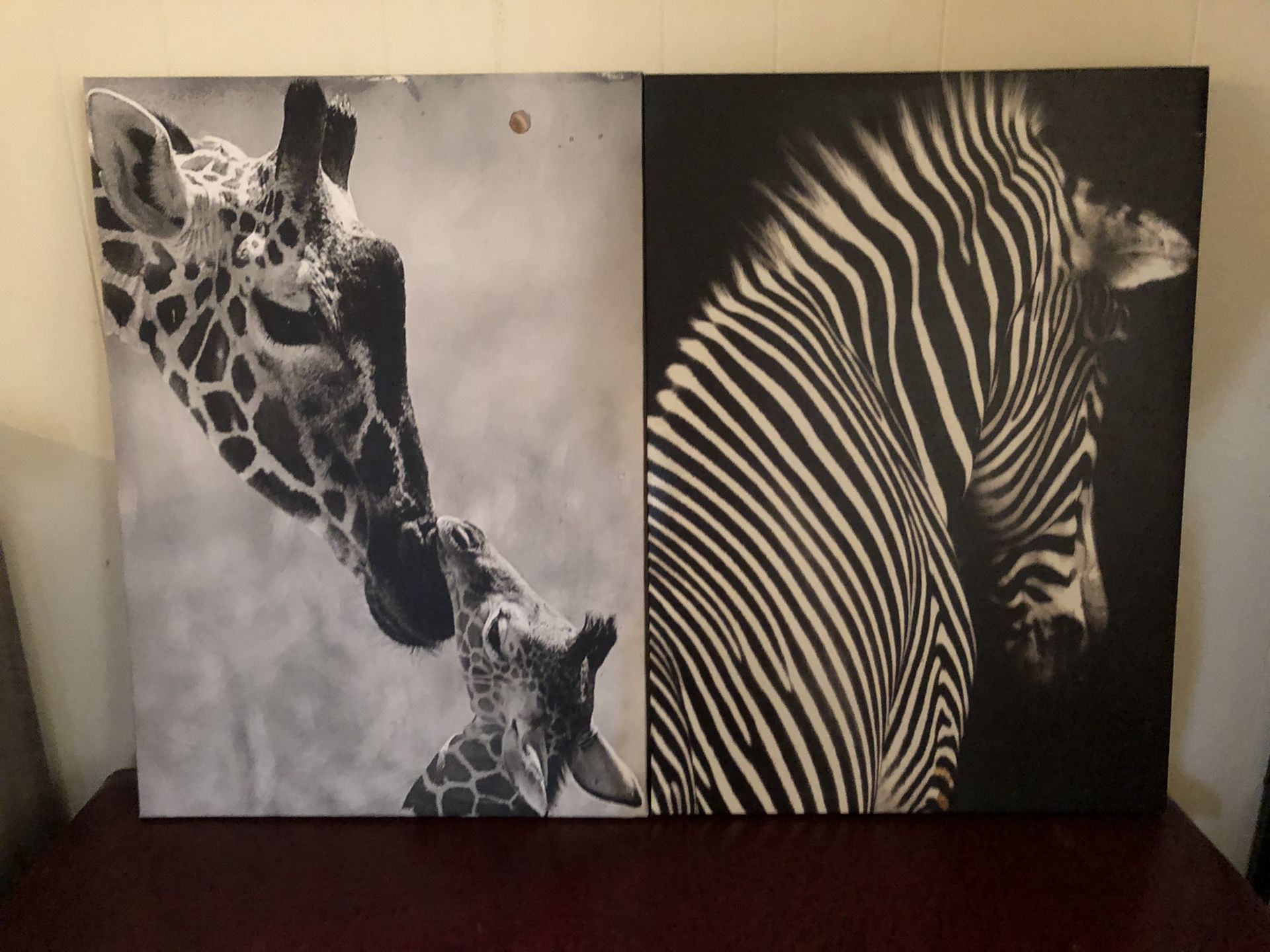 Pictures of a zebra and giraffes