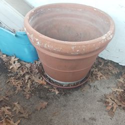 Huge Flower Pot (Very Heavy)
