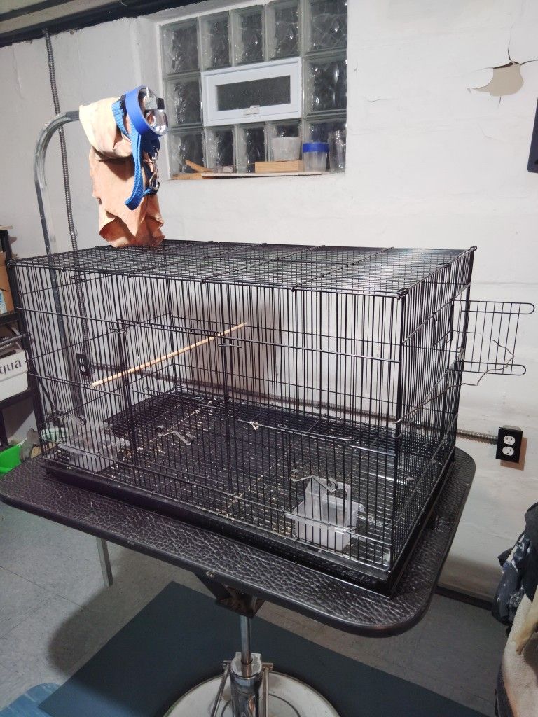 Bird Cage