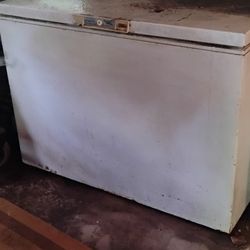 Large Deep Freezer