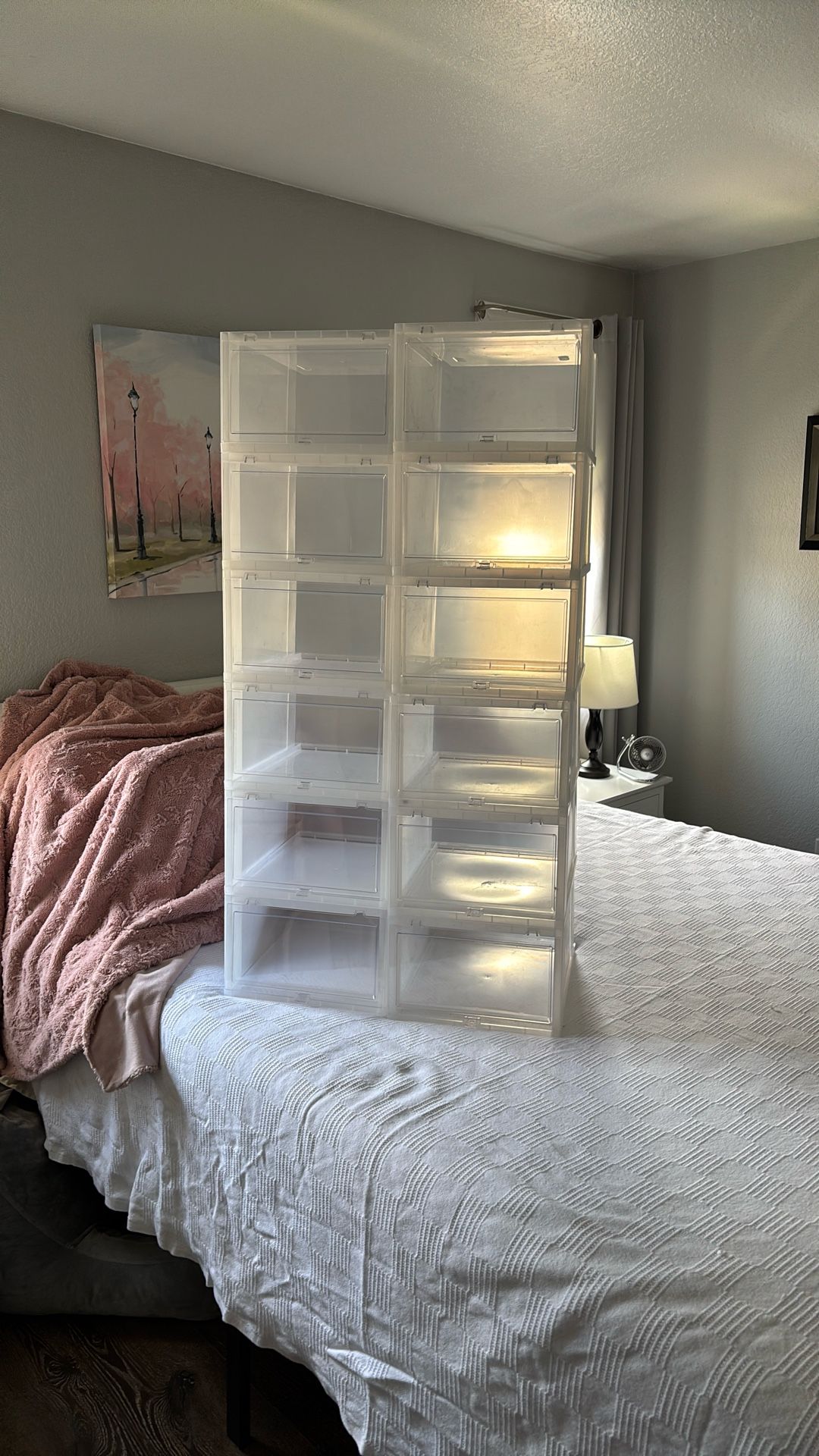 Shoe Storage Boxes