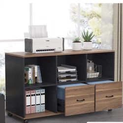 (NEW) Tribesigns 2 Drawers File Cabinets Letter Size, 43 inches Mobile Filing Cabinet