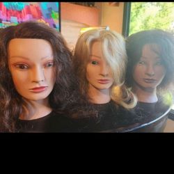 Professional Human Hair Mannequins By Fromm