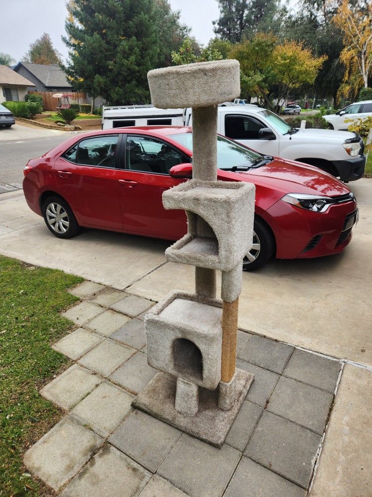 69" tall, sturdy clean cat tower