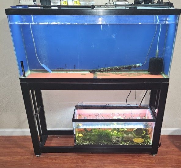 55 Gallon Tank