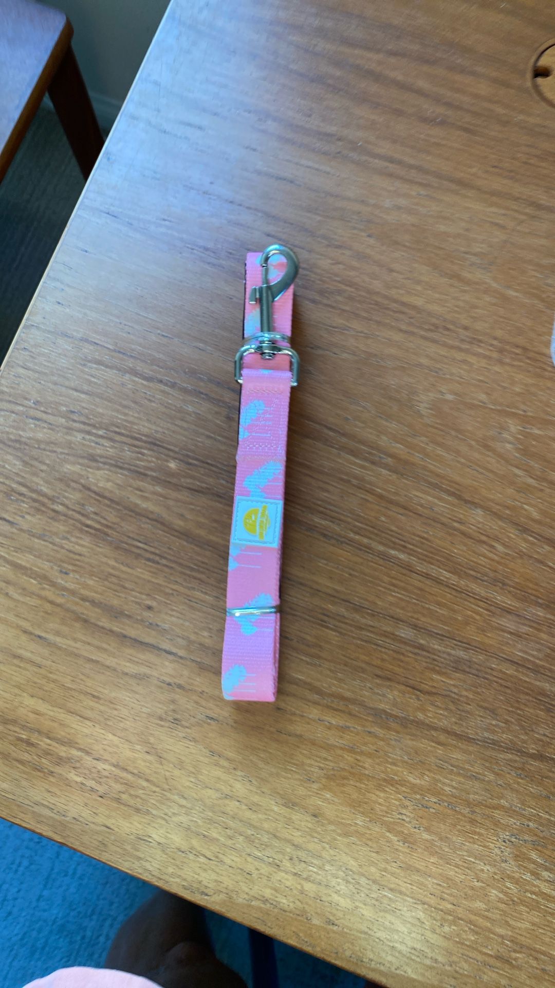 New Dog Leash