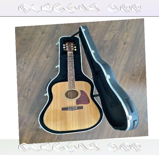 Find Your Perfect Sound with Our Premium Acoustic Guitar Selection democratic economy