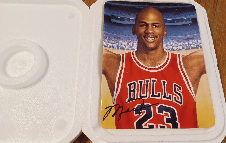 Michael Jordan collectors plate  Flight soaring above the rest.Chicago Bulls Bradford Exchange 