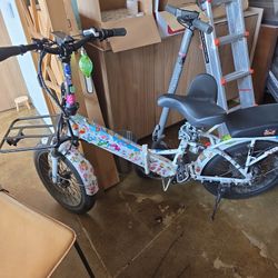 Lectric E BIKE