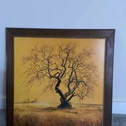 Canvas Pictures 