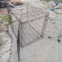 Pet/Dog Kennel