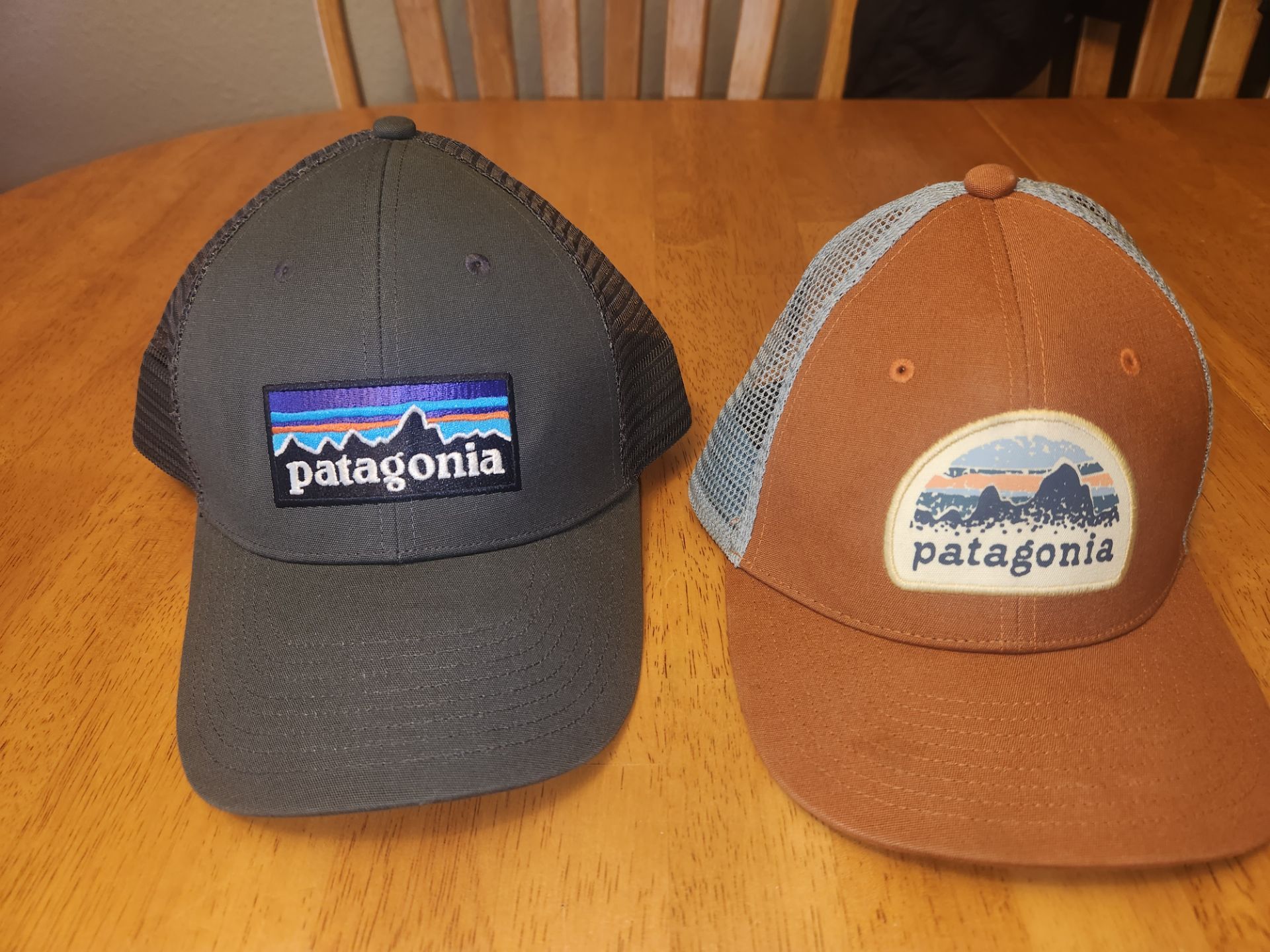 2 Patagonia Trucker Hats