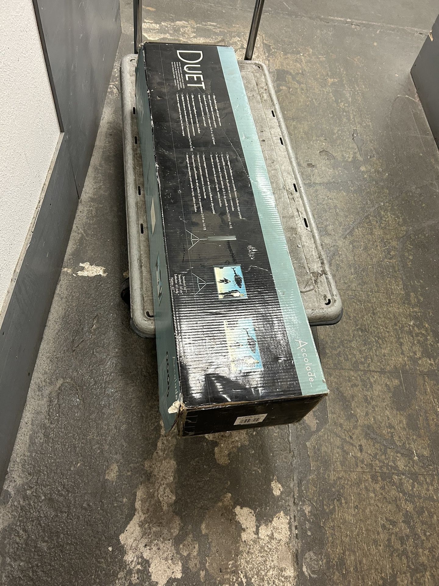 Epson Projection Screen