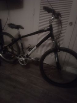 Diamondback
