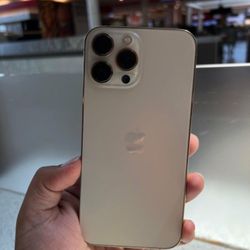 iPhone Thirteen Pro Max 