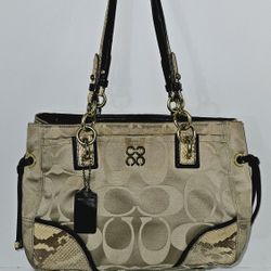 Coach HANDBAG