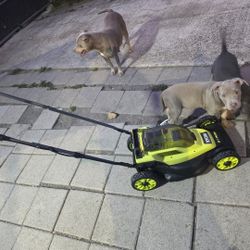 ryobi 13in lawn mower