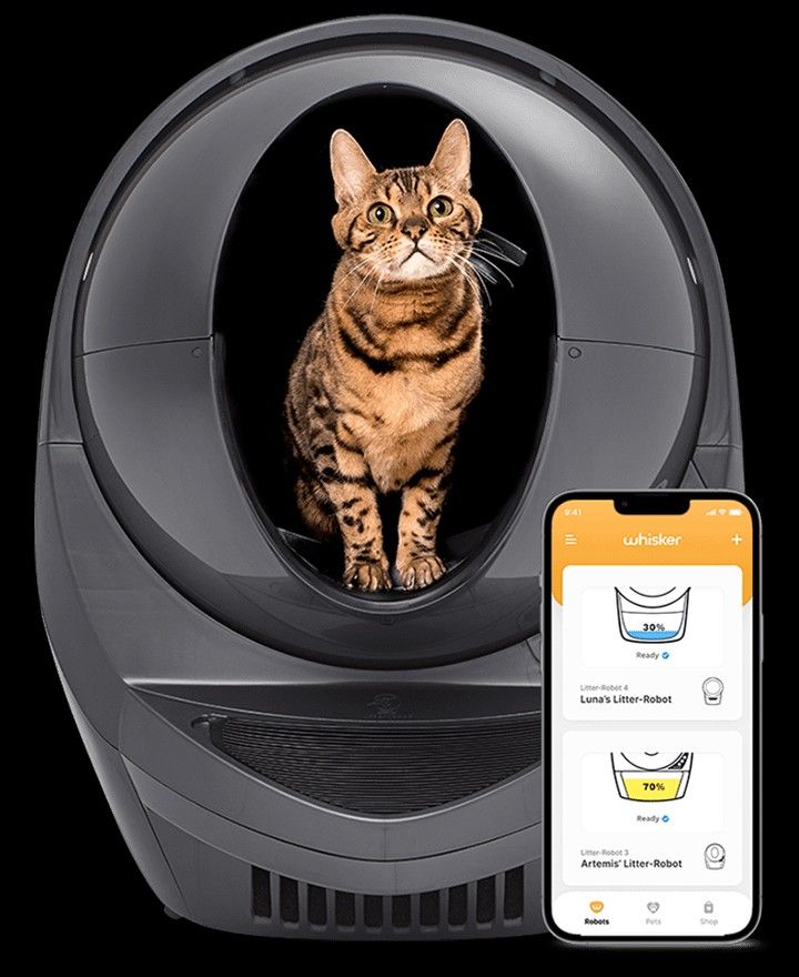 Litter Robot 3 Connect Used