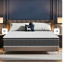 Puzdaz Queen Size Mattress 12 Inch with Memory Foam(Brand new)