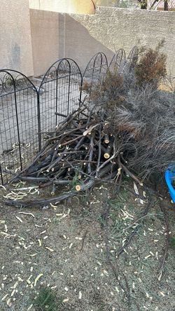 Mesquite for free