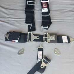 Racing Seat Belt Harness