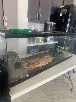 Terrarium