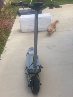 Mukuta 10 Plus Off Road Scooter