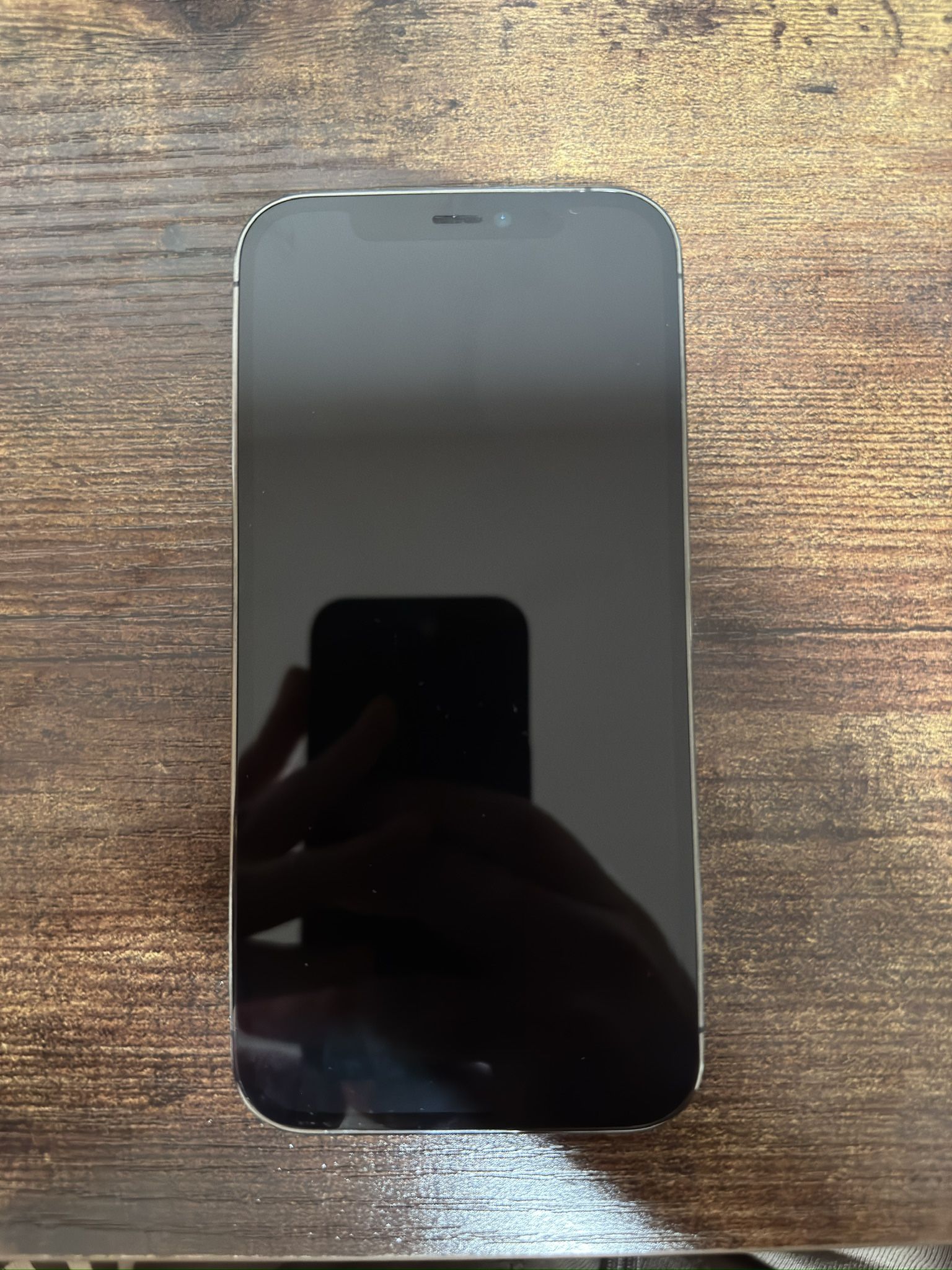 iPhone 12 Pro