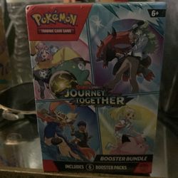Pokémon journey together