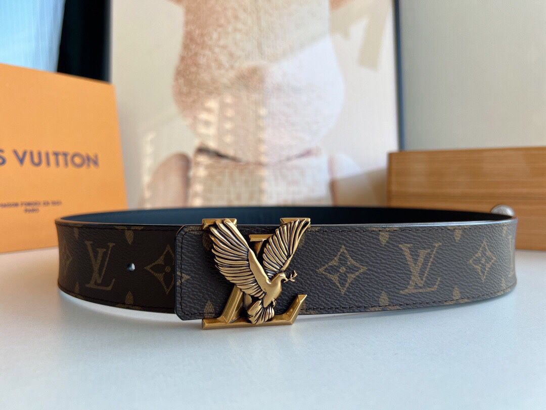 Louis Vuitton Brown Belt New 