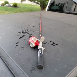 Fishing pole and spincast reel