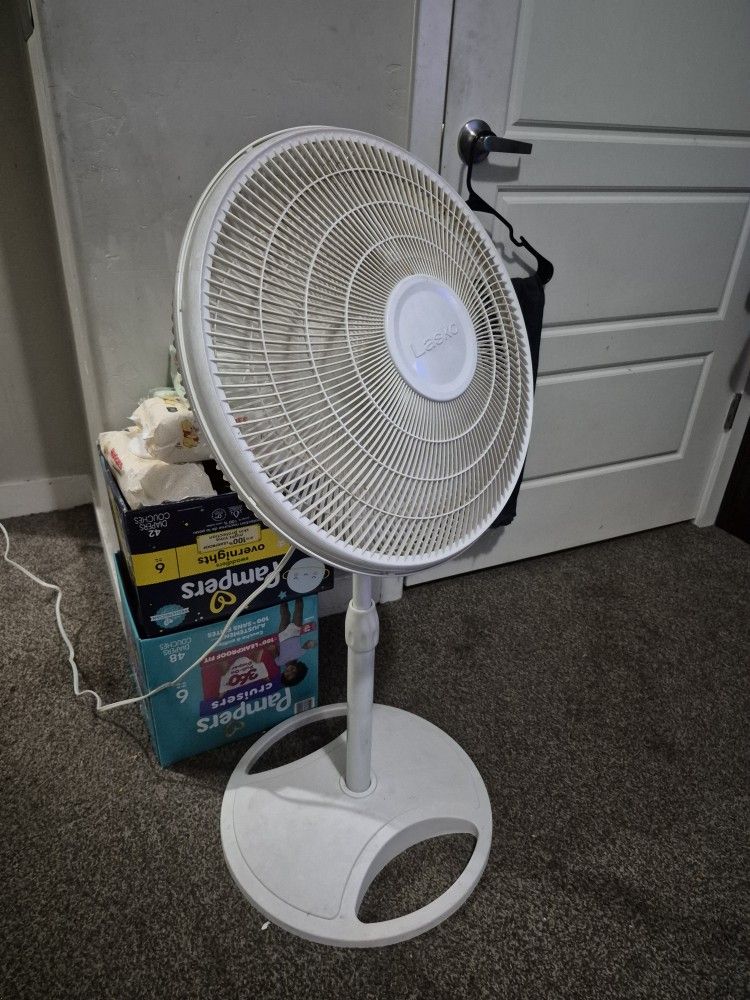 3 White Floor Fans. 2 Black Floor Fans