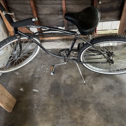 Original Schwinn Cruiser
