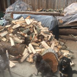 Cord Or More Of Firewood 