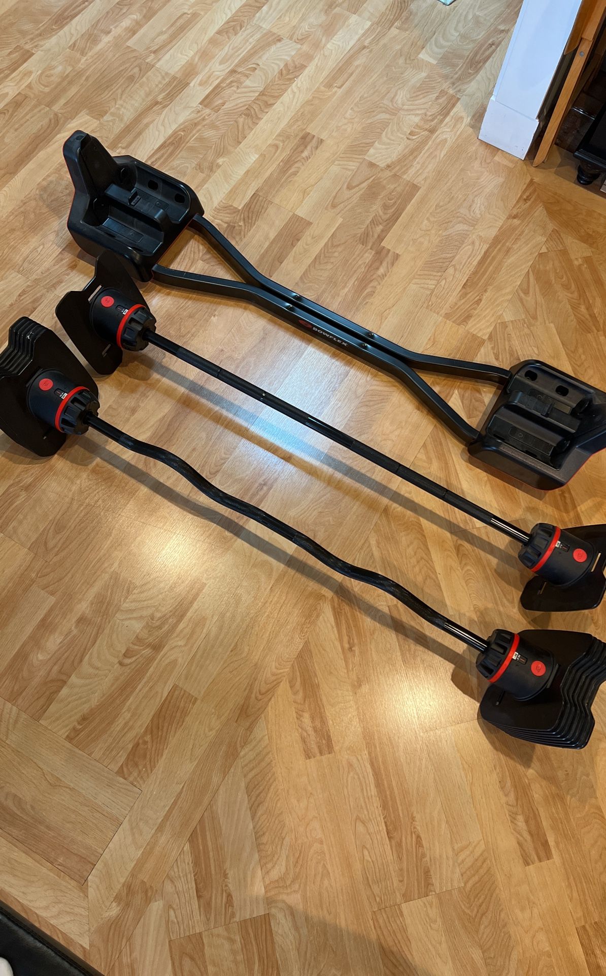 Bowflex SelectTech 2080 Barbell with Curl Bar