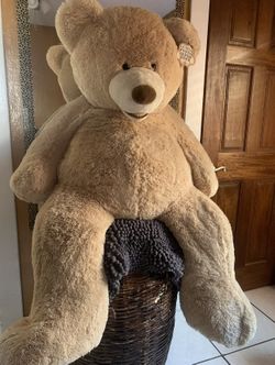 Teddy Bear