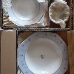 Fine CHINA DISH SET