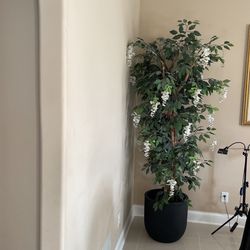 Decoration