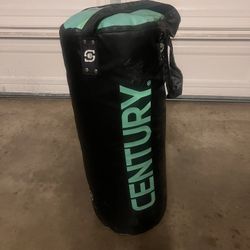 Century Punching Bag 